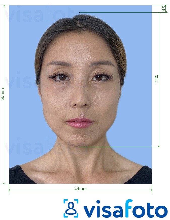 Япон Ан агнуурын лиценз 2.4х3 см Болоцоот зургийн жишээ