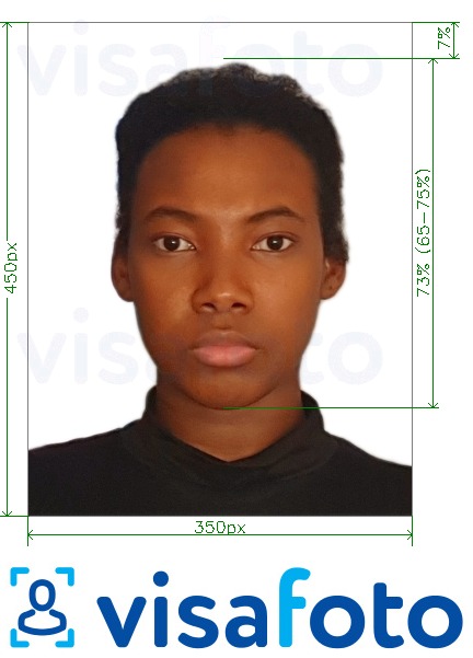 Нигерийн онлайн виз 200-450 пиксел Болоцоот зургийн жишээ